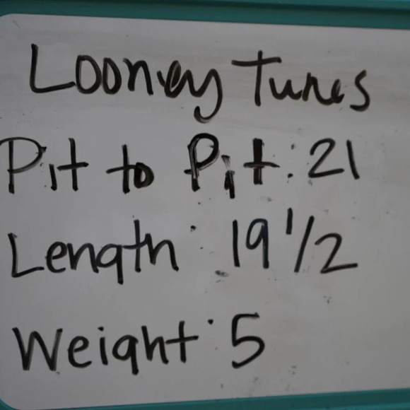 Looney tunes blue Bugs Bunny Tweety bird Sylvester that's all folks top‎ Large - Picture 6 of 6